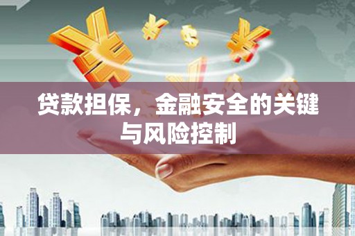 岐山贷款担保，金融安全的关键与风险控制