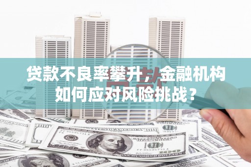 岐山贷款不良率攀升，金融机构如何应对风险挑战？
