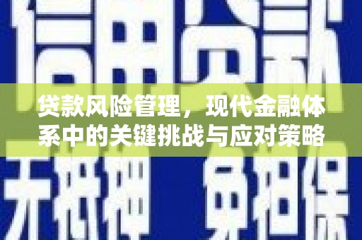 岐山贷款风险管理，现代金融体系中的关键挑战与应对策略