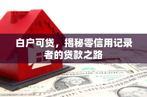 岐山白户可贷，揭秘零信用记录者的贷款之路