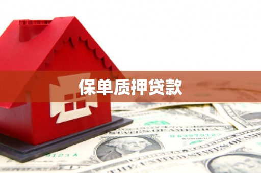 岐山保单质押贷款