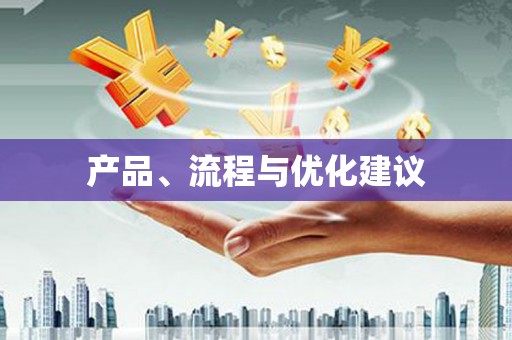 岐山产品、流程与优化建议