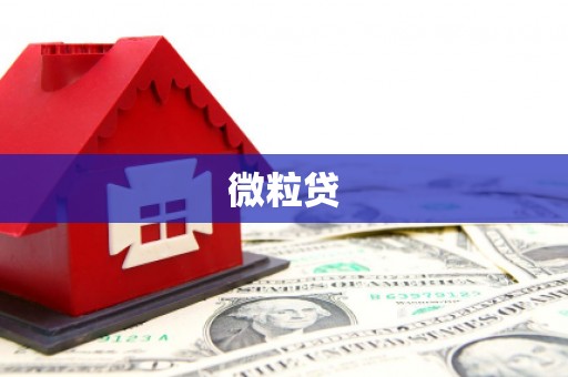 岐山微粒贷