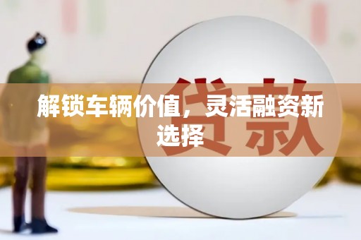 岐山解锁车辆价值，灵活融资新选择