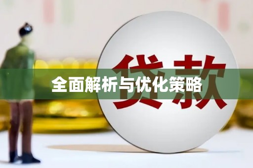 岐山全面解析与优化策略